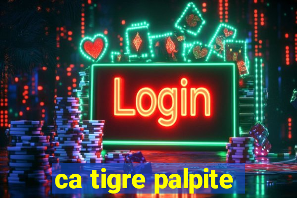 ca tigre palpite